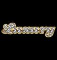 Luxury in diamonds vector image