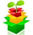 Box sprouting vector image