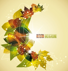 Leaves vector image