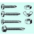 Screws and nuts vector image