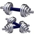 Dumbbells vector image