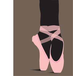Ballet shoes vector image