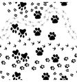 Animal footprint seamless pattern vector image