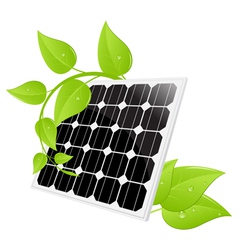 Solar cell leaves vector image
