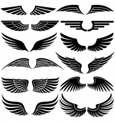 Wings vector image