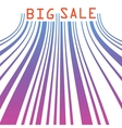 Big sale barcode banner EPS 8 vector image