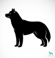 Siberian Husky vector image