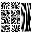 Zebra pattern vector image