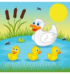 Mother duck with ducklings on lake vector image