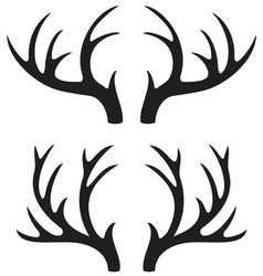Deer horns vector image