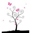 Butterflies vector image