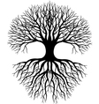 Tree silhouette vector image