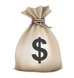 Money bag vector image