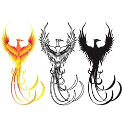 Phoenix bird vector image
