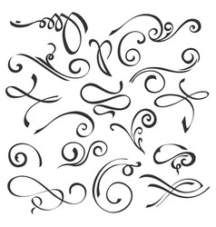 Calligraphic swirls element set Calligraphic swirls element set vector image