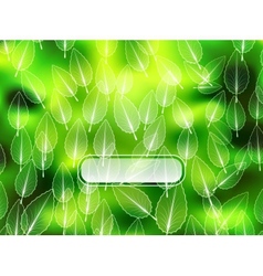 Nature abstract blurred background Nature abstract blurred background vector image