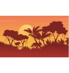 collection background jungle with tree silhouette vector image