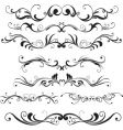 Floral design elements vector image