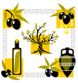 Greece olive vector image