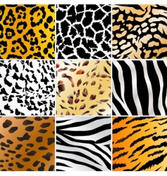 Wild patterns vector image