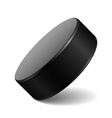 Hockey puck vector image