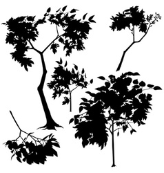 Tree Silhouette vector image