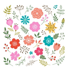 Set of floral elements vector image