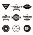 Set of retro vintage badges and labels vector image