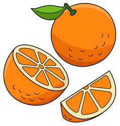 Raspberry fruit cartoon colored clipart Royalty Free Vector