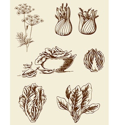 Vegetables set vector image