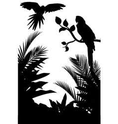 Macaw and plant silhouette Macaw and plant silhouette vector image