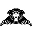 Black panther Black panther vector image