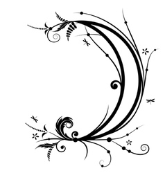 flower and new moon vector image