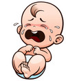 Baby Baby vector image