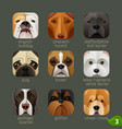 Animal faces for app icons-dogs set 2 vector image