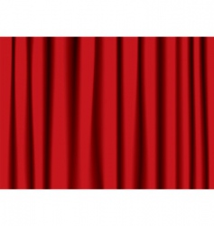 Ter curtain vector image