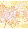 Autumn macro leaf of maple bacground vector image