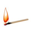 Match stick flame vector image