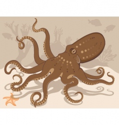 Octopus on coral reef vector image