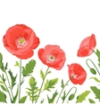 Poppies bouquet seamless border composition vector image