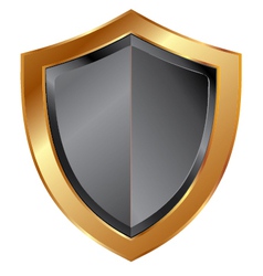 Gold shield trim vector image