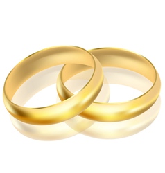 Gold rings vector image