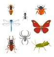 Insect icon set vector image