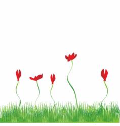 Grass and flowers vector image