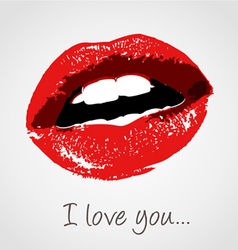 Love kiss vector image