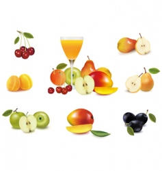 Fruit vector image