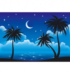 Night coast vector image