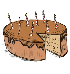 Birthday cake with candles vector image