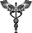 Caduceus vector image