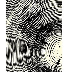 Wood cross section vector image
